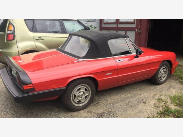 Thumbnail Photo undefined for 1987 Alfa Romeo Spider